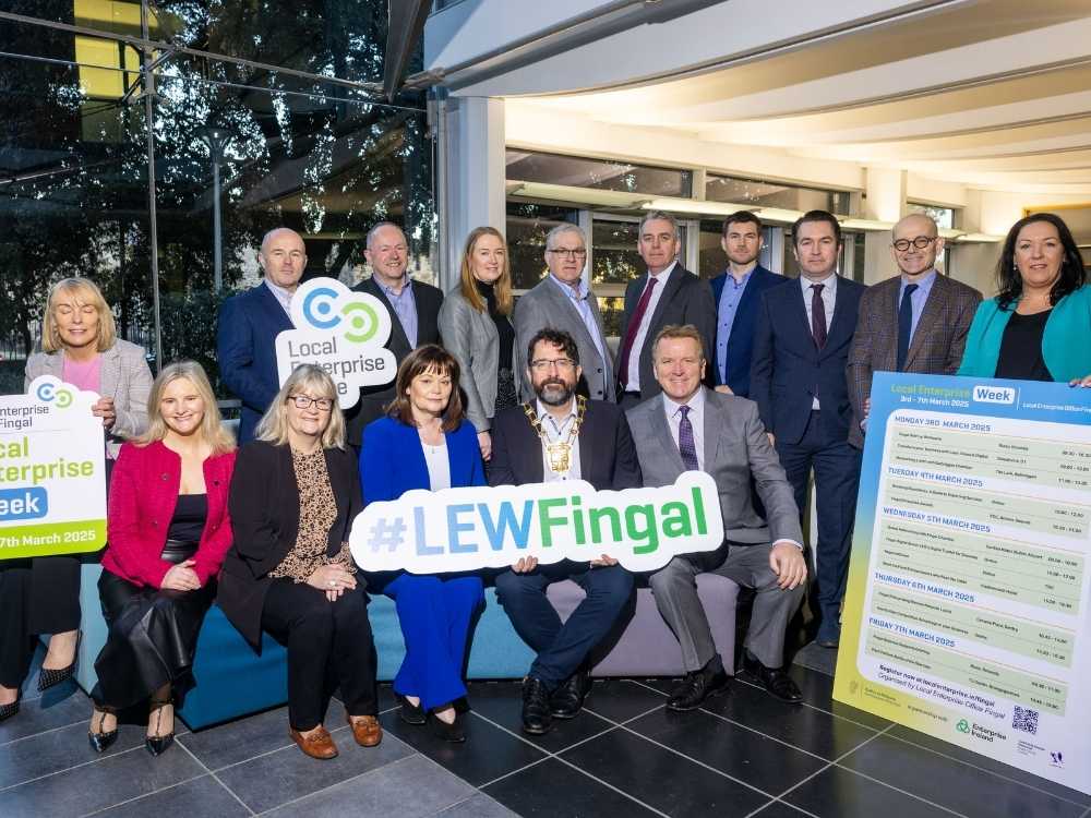 Local Enterprise Office Fingal Content Plan Case Study 2