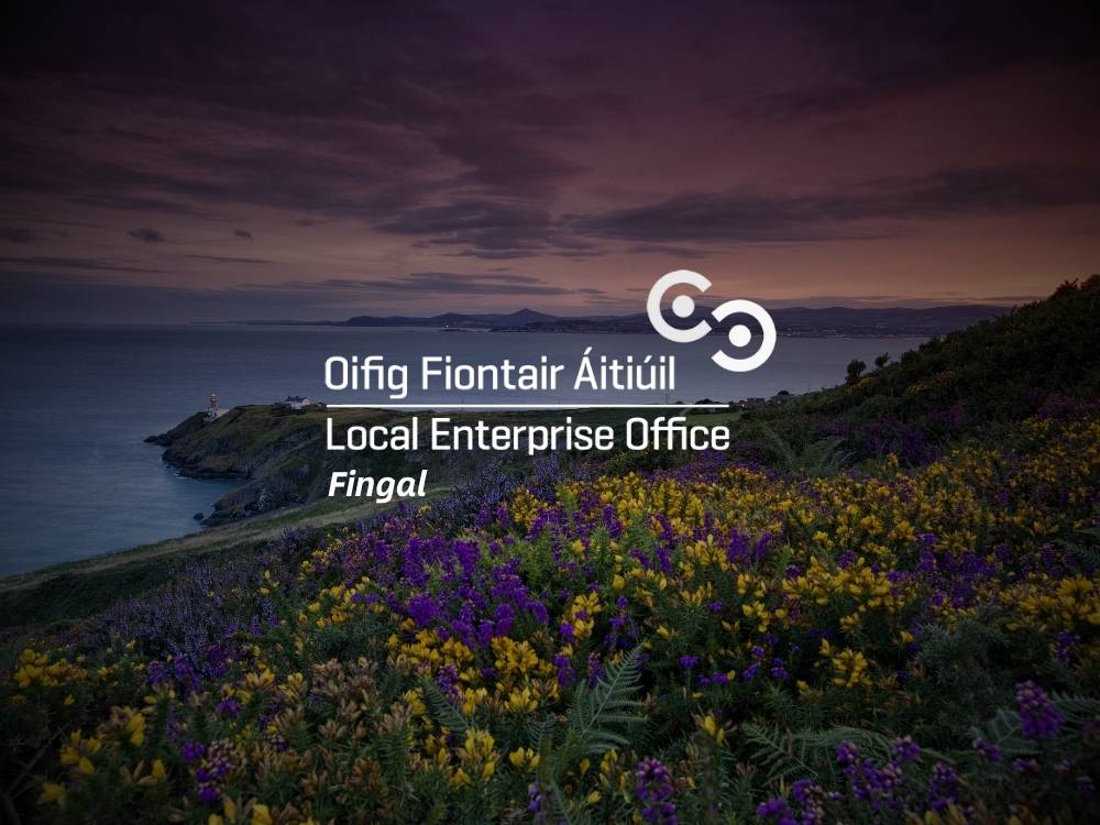 Local Enterprise Office Fingal Content Plan Case Study